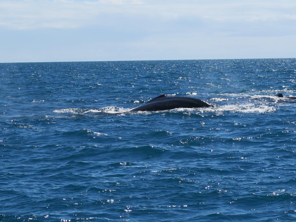 Hotel Marina Porto Abrolhos การาเวลาส ภายนอก รูปภาพ